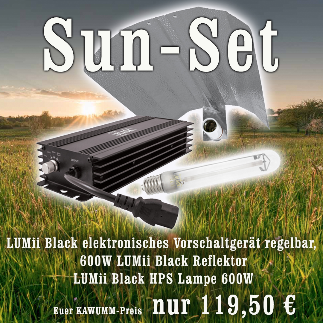 LUMii Black Vorschaltgeraet + Reflektor + HPS Lampe 600W